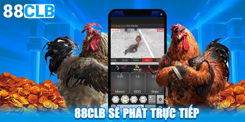 88CLB – Link 88clb Mới Nhất 6/2025 | Không Chơi Đời Không Nể Sảnh đá gà đa dạng các thể loại